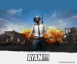 PUBG Meme - Playerunknown's Battlegrounds