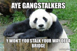 Confession Panda