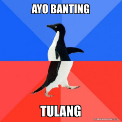 Socially Awkward Awesome Penguin