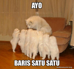 Storytelling Dog