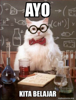 Chemistry Cat
