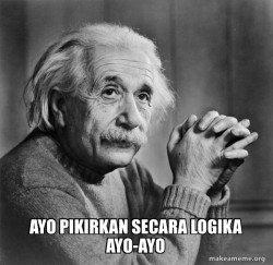 Serious Albert Einstein