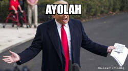 Trump - Impeachment Quid Pro Quo