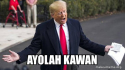 Trump - Impeachment Quid Pro Quo