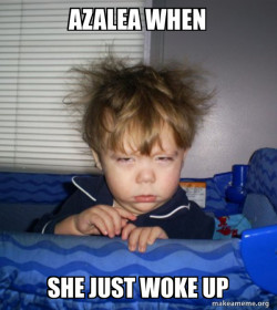 Monday Mornings