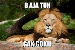 Contemplative Lion