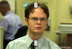 Schrute Facts (Dwight Schrute from The Office)