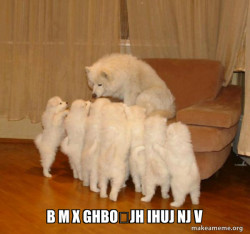 Storytelling Dog