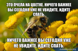 Ð¨Ð¼ÐµÐ»Ð¸Ðº