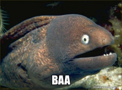 Bad Joke Eel