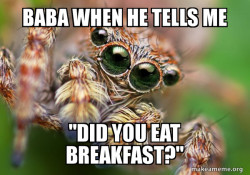 Hipster Spider