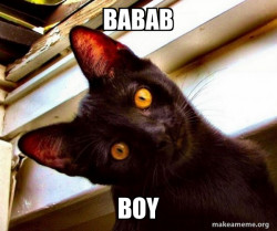 Overly Attached Cat