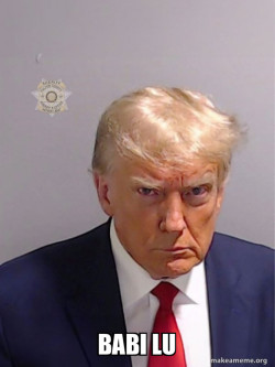 Donald Trump Mugshot