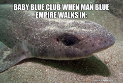 Dirty Joke Dogfish