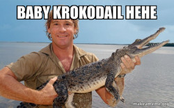 Steve irwin