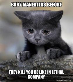Confession Cat
