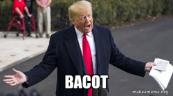 Trump - Impeachment Quid Pro Quo