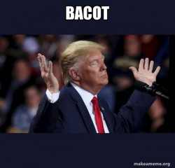 Trump Impeached