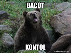 Sarcastic Bear