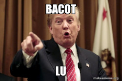 Donald Trump Says