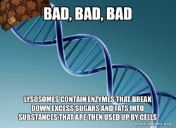 Scumbag Genetics