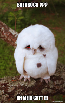 Sad Owl