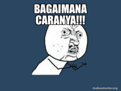 Y U No