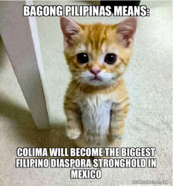 Bagong Pilipinas Means: Colima will become the Biggest Filipino Diaspora Stronghold in Mexico