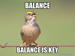 Common Opinion Sparrow