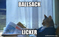 Sophisticated Cat