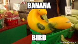 Gourd Advice Mallard