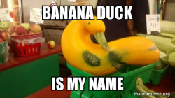 Gourd Advice Mallard