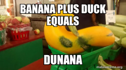 Gourd Advice Mallard
