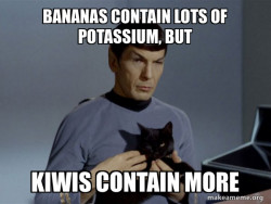 Spock and Cat Meme