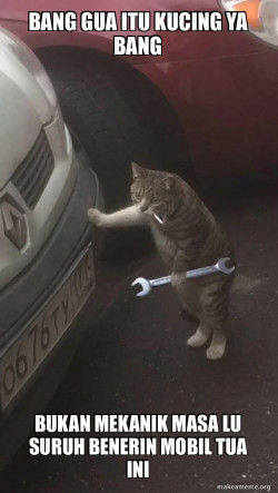 Mechanic Cat
