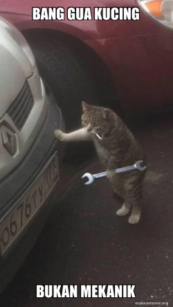 Mechanic Cat