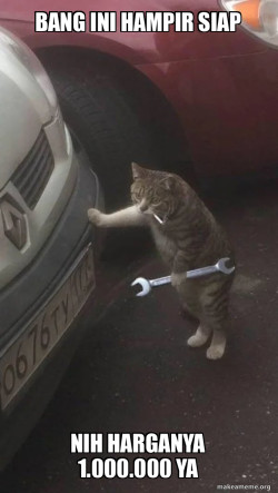 Mechanic Cat