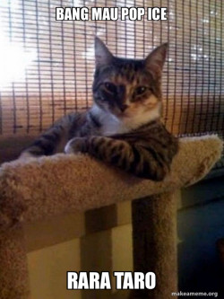 The Most Interesting Cat in the World