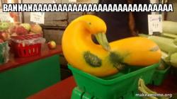 Gourd Advice Mallard