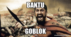 The 300