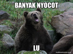 Sarcastic Bear