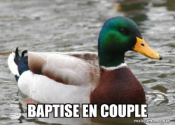 Actual Advice Mallard