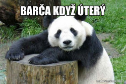 Confession Panda
