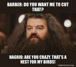 BARBER: LET ME SEE WHAT I CAN DO