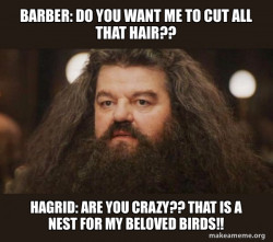 Hagrid - I should not have said that
