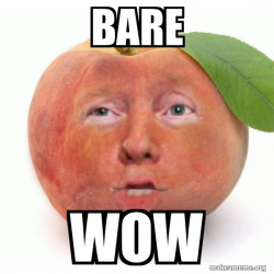 Impeached Donald Trump
