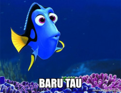 Dory from Nemo  (5 second memory)