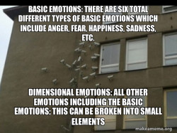 Basic Emotions vs. Dimensional Emotions
