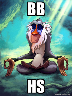Rafiki Meditating - Lion King