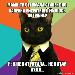 Business Cat